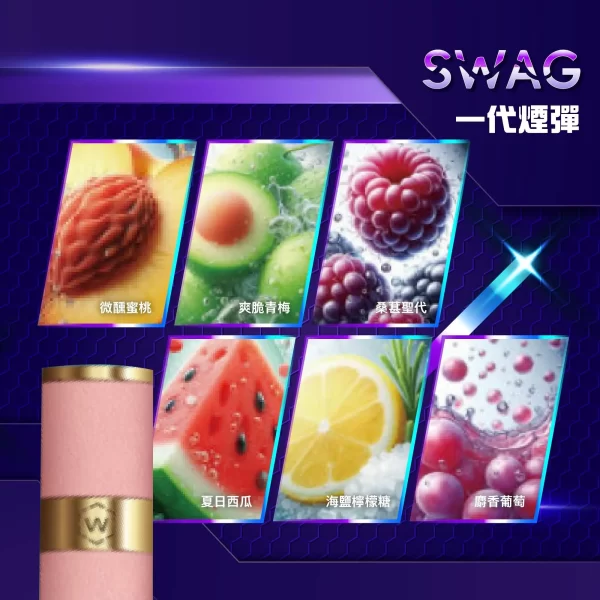 SWAG 替換式煙彈組｜買五送一主機・限量雙段式皮革款：圖片 3