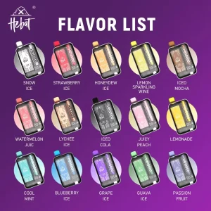 HEBAT 喜貝｜10000口拋棄式電子煙💗大容量暢吸・即拆即用